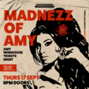MADNEZZ OF AMY | Amy Winehouse Tribute Night at Dockworks
