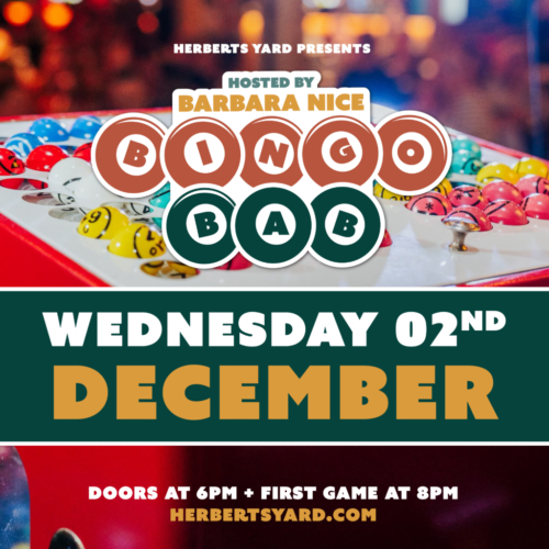 Bingo Bab – A night with Barbara Nice